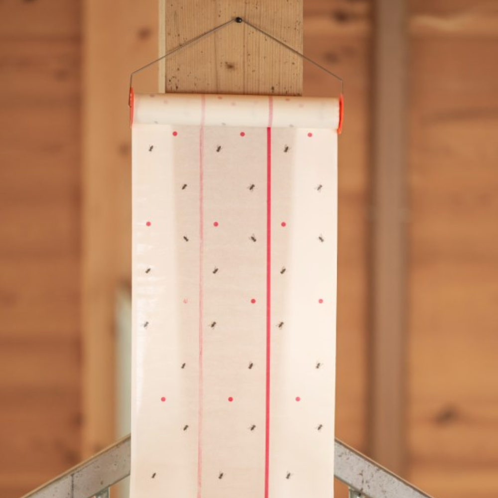 Mušpapīrs rullī MuscaRoll, 7 m x 30 cm, ar metāla rokturi